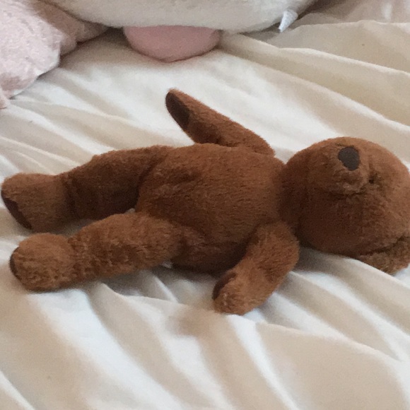 Meet your Posher, Sora - Picture 1 of 1